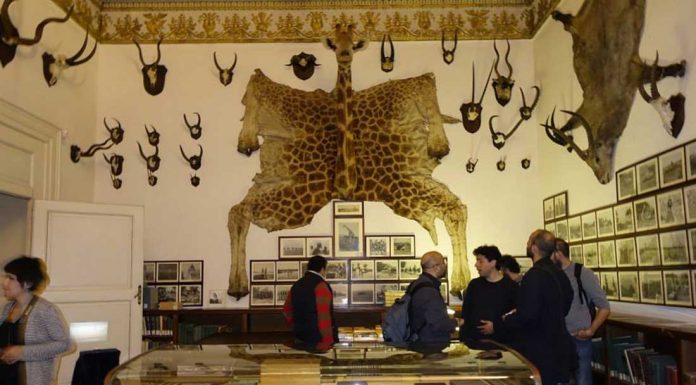 biblioteca nazionale di napoli| ilmondodisuk.com